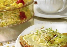 KIELKI FOT. BARBARA LACZYNSKA PUBLIKACJA OGRODY NR 2 (82) - 2.2006 SLOWA KLUCZOWE: ZYWNOSC ZDJĘCIE DO WKŁADKI: PUBLIKACJA OGRODY NR 2 (82) - CZASOPISMA