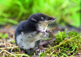 p?U30CtjCQ)kNVn5Y`7PB