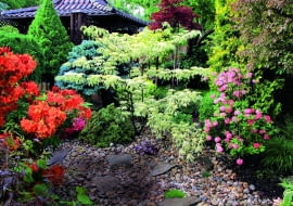 Wiosna w ogrodzie to czas azalii- kwitnąc, dodają mu koloru i wypełniają go słodkim zapachem kwiatów.