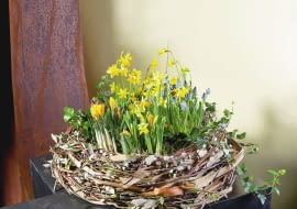 KOMPOZYCJA FLORYSTYCZNA POGRZEBOWA WIENIEC WYKONANO Z MIEDZIANEJ SIATKI W KTOREJ UMIESZCZONO ROSLINY KWIATY KROKUSY , SZAFIRKI , NARCYZY , PEDY SKRZYPU , WIERZBY , DERENIA , SUSZONE LISCIE MAGNOLII ARANZACJA ROBERT MILKOWSKI FOT. LUKASZ ZANDECKI PUBLIKACJA BUKIETY NR 1 (40) - WIOSNA 2008