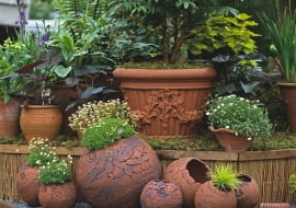 Rośliny zimą na balkonie