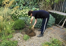 roczna licencja WATER FEATURE STEP-BY-STEP: LOUISE HAMPDEN DIGGING A HOLE IN THE GRAVEL SLOWA KLUCZOWE: 000 DIGGING FEATURE FOUTAIN GRAVEL HAMPDEN HOLE LOUISE STEP-BY-STEP WATER draussen quer Sommer Stepabfolge Praxis Gr ser Kiesgarten Kies Wasserspiel Wasser graben Frau Person Spaten Loch Buxus Buchs Stauden Beet Garten