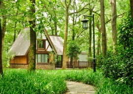 Projektujemy ogród w stylu leśnym. Adaptujemy zadrzewioną działkę