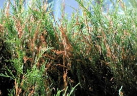 SLOWA KLUCZOWE: Ostrość Wysoka jakość