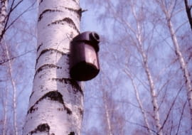 Budka z drewnobetonu. Jej wlot w formie rury jest zaporą dla drapieżników.