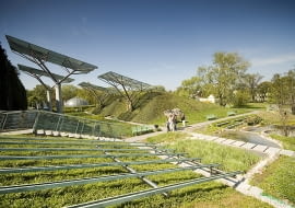 zielony dach, warszawa