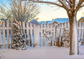 Zimowe zagrożenia dla roślin w ogrodzie