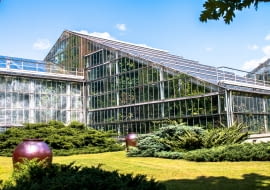 Palmiarnia w Poznaniu