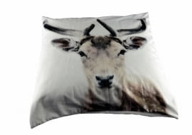 Renifer karibu, poduszka, 60 x 60 cm, Miloo Home, house&more.pl