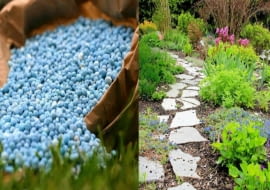 nawozy, ogrody, rośliny, trawa