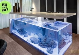 akwarium, kuchnia, kuchnia z akwarium, robert kolenik