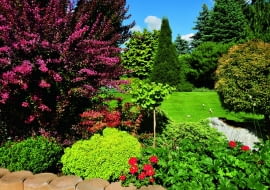 Gości wita galeria imponujących okazów drzew i krzewów wyeksponowanych wokół rozległego trawnika.