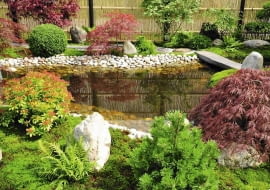 W OCZKU JAK W LUSTRZE odbijają się barwne krzewy rosnące w pobliżu i płot z listewek. Brzeg i dno zdobią białe otoczaki.