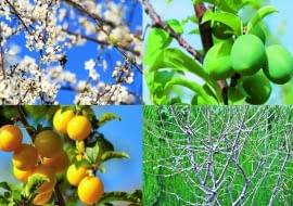 dp]<nYvMYzwU^e)_i]mu:?u:A>g;Q`4C