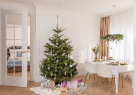 Leory Merlin - Kraina Lodu