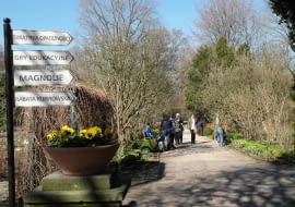 Ogród Botaniczny w Warszawie