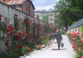 Ogród Muzeum Powstania Warszawskiego