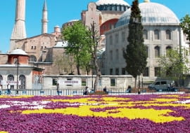 Kobierzec z tulipanów w centrum miasta 'utkany' na wzór perskich dywanów.