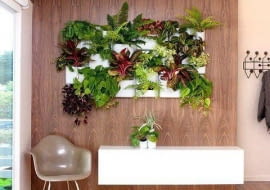 kwiaty we wnętrzu, rośliny doniczkowe, aranżacje z roślin doniczkowych, aranżacje na ścianie