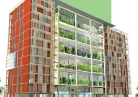 Fot. knafoklimor.co.il