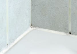 10.04.2006 WARSZAWA DLA CZTERY KATY KROK PO KROKU ZROB TO SAM WYMIANA FUGI SILIKONOWEJ Z GRZYBEM I PLESNIA NA NOWA FUGA PLESN GRZYB RENOWACJA WYKONANIE KRZYSZTOF RADZANOWSKI JUSTYNA BURDOW-GOLOS FOT. LUKASZ ZANDECKI / AGENCJA GAZETA PUBLIKACJA CZTERY KATY NR 6 (176) - 6.2006