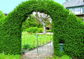 FORMOWANIE STRZYZENIE CIECIE ZYWOPLOT FURTKA OGRODZENIE BRAMKAFOT. JERZY ROMANOWSKIPUBLIKACJA OGRODY NUMER SPECJALNY 2/2006 - OGROD MARZEN - 6.2006PUBLIKACJA OGRODY NUMER SPECJALNY 1/2010 - MODNY OGROD - 5 2010PUBLIKACJA LADNY DOM NR 10 (180) - 10 2013