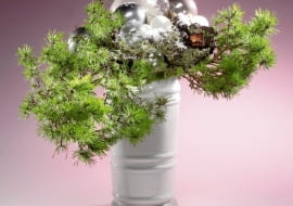 Zimowa dekoracja przypominająca drzewko bonsai. Aby osiągnąć taki efekt, wykorzystano gałązki sosny zwyczajnej z wyjątkowo małymi krótkopędami, na których rosną króciutkie igiełki. Kora posypana sztucznym śniegiem i bombki wprowadzają świąteczny nastrój.