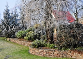 ZIMOZIELONA RABATA z kosówkami, jałowcami i berberysem wspaniale kontrastuje z delikatnymi gałązkami modrzewia.