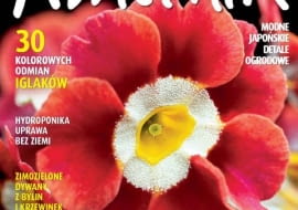 Kwietnik - numer lutowy