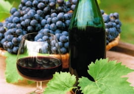 WINOGRONA, WINOROSL WINO JESIEN FOT. ANNA BIALA/AGENCJA GAZETA AB814_007 SLOWA KLUCZOWE: ROSLINY WINA