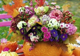 Geschnitzter Kürbis als Blumenvase: Astern, Dahlien, Blätter und Beeren SLOWA KLUCZOWE: Herbst Kürbisse Herbststräuße Herbstliche Tischideen und Accessoires Herbst Kürbisse Herbststräuße Herbstliche Tischideen und Accessoires herbstlich Herbstdekoration Herbstdeko Dekoration Deko Decoration Deco Gastlichkeit Herbsttisch Herbsttische Tisch Tische Tischdekoration Tafelschmuck Tischschmuck Tischdeco Tischdeko Kürbis Blumenstrauß Blumensträuße Herbststrauß Blume Blumen floral Florales Blumenvase Blumenvasen Vase Vasen Aster Astern Dahlie Dahlien Dahlia Blatt Blätter Beere Beeren Gravur graviert Außenaufnahme