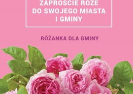 Różanka dla gminy