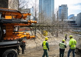 Drzewa i krzewy z placu Europejskiego trafią do warszawskich parków