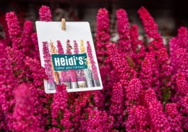 Wrzośce Heidi’s