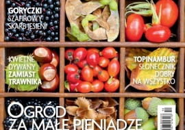 okładka miesięcznika Ogrody 10/2011