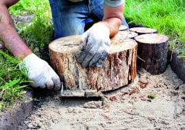 Fot. brizmaker shutterstock