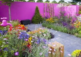 Kolorowa ściana w ogrodzie