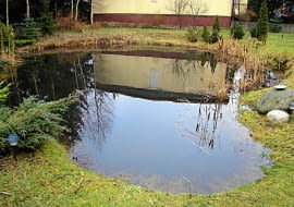 Staw w ogrodzie przed zmianami