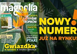 Magazyn Magnolia