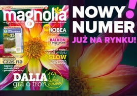 Magazyn Magnolia