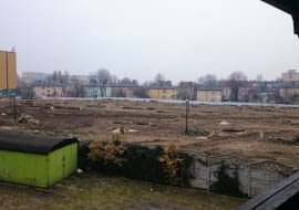 MAKABRYŁA ROKU 2014: Wykarczowany park w Rybniku