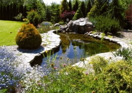 Oczko wodne. Nie powstałoby, gdyby nie decyzja o przeniesieniu firmy z przydomowej działki w inne miejsce.