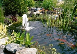 DO JEDNORAZOWEJ PUBLIKACJI