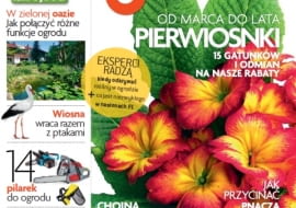 Okładka miesięcznika Magnolia 03/2013