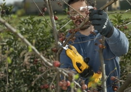 Sekator wielofunkcyjny SC 100e