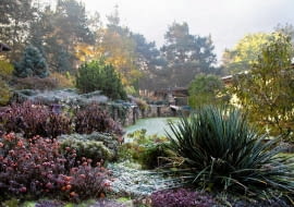 SLOWA KLUCZOWE: Kampinos Wolaniny autumn debina dom drzewa fall frozen garden jesien kwiaty las mazowieckie mazowsze morning mroz ogrod poland polska poranek szron zielen