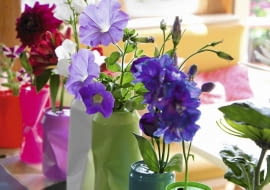 Bunte Dosen als Vasen, Stepfoto vorhanden SLOWA KLUCZOWE: Blume Blumenvasendosen Chrysantheme Chrysanthemum Deko-Idee Dekoration Dose Farbe f rben floral Florales gef rbt Getr nkedose Idee Kreativ Kreatives Kreativ-Idee Lackspray modern poppig Recycling Selbermachen selbst gemacht Hochformat