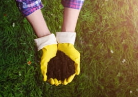Dobra ziemia w ogrodzie - jak ją rozpoznać?
