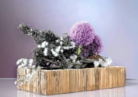 20.08.2010 BUKIETY , CZOSNEK , LATO ARANZACJA MAGDALENA BIRULA - BIALYNICKA FOT. PAWEL KISZKIEL / AGENCJA GAZETA