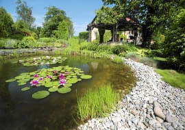 10.06.2010 BUSKO ZDROJ , OGROD DLA MIESIECZNIKA OGRODY , WLASCICIELE MAREK I ANNA MASLOWSKI . FOT. WOJCIECH SURDZIEL / AGENCJA GAZETA SLOWA KLUCZOWE: ROSLINY OGRODNICTWO OGROD